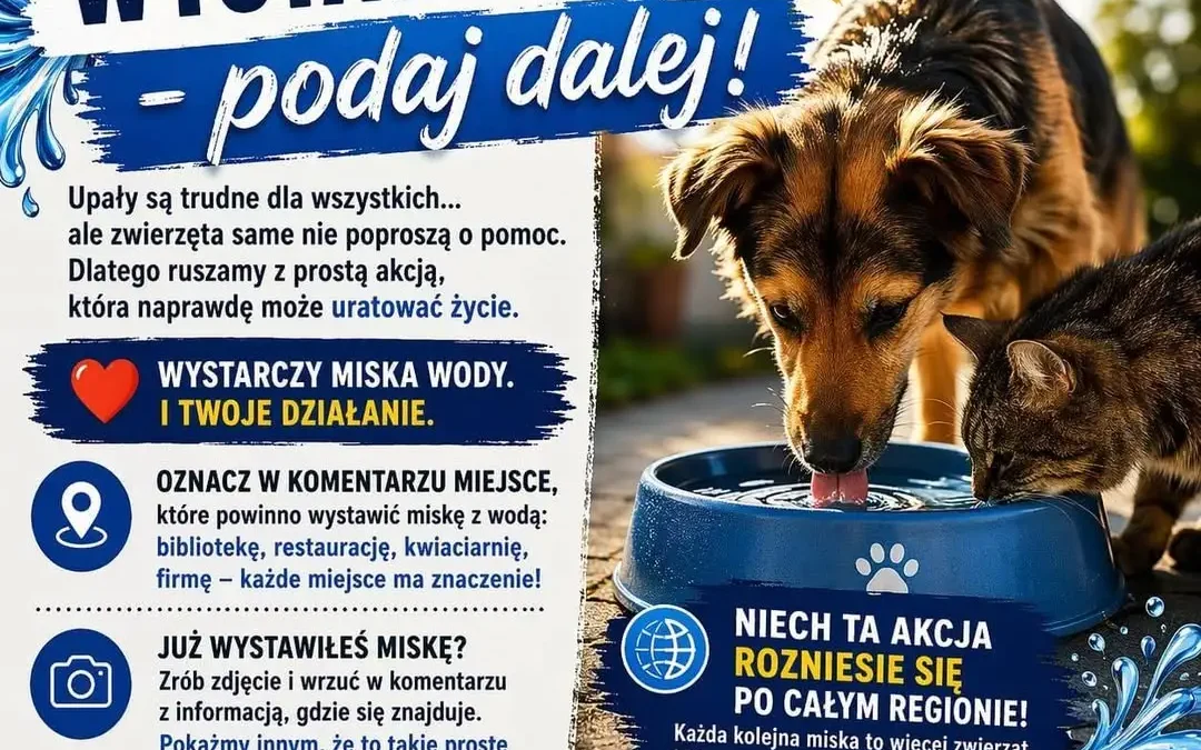 Akcja OSMZ: Wystaw miskę z wodą dla zwierząt w upały