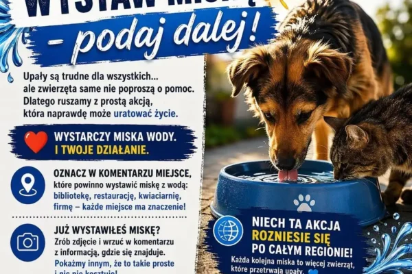 Akcja OSMZ: Wystaw miskę z wodą dla zwierząt w upały