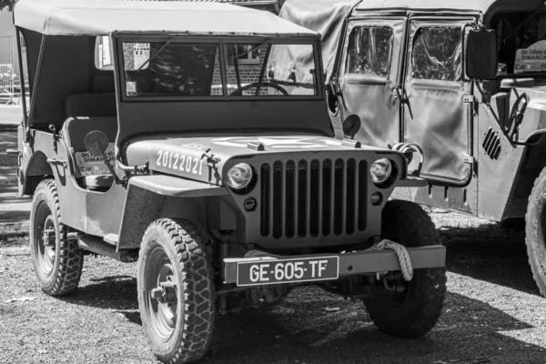 VIII Willys Military Meeting Sośnie 2026 – zlot miłośników wojskowych jeepów