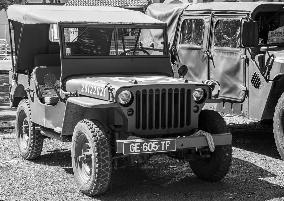 VIII Willys Military Meeting Sośnie 2026 – zlot miłośników wojskowych jeepów