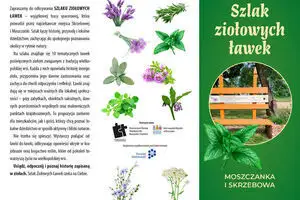 Odkryj Szlak Ziołowych Ławek – nowa atrakcja turystyczna w gminie Raszków