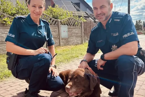 Pies Czoko odwiedził komendę policji w Ostrowie Wielkopolskim