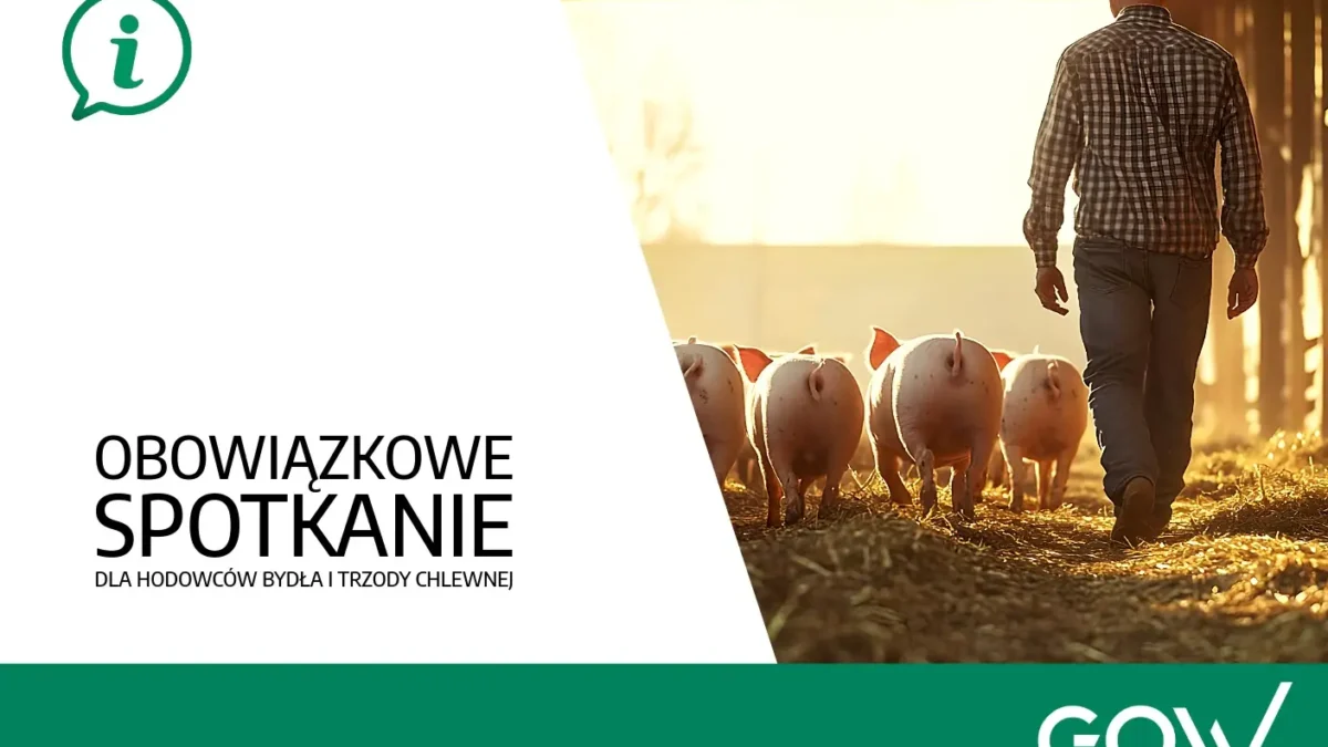 Obowiązkowe szkolenie dla hodowców trzody chlewnej i bydła w powiecie ostrowskim
