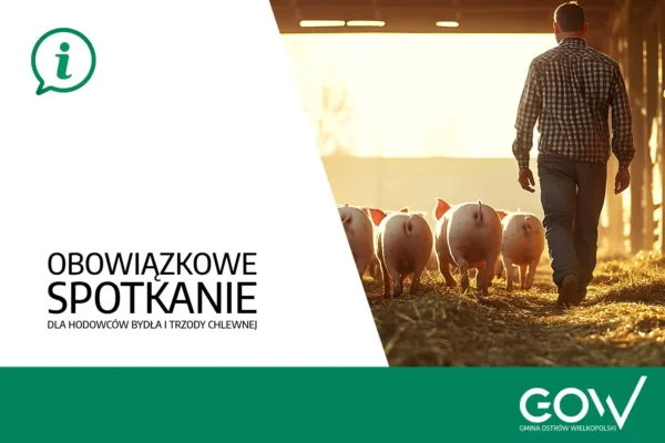Obowiązkowe szkolenie dla hodowców trzody chlewnej i bydła w powiecie ostrowskim