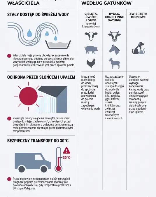 Upały a zwierzęta – weterynarz przypomina o obowiązkach hodowców