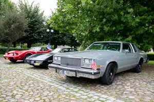 V Pleszew American Cars Festival: Klasyki zachwyciły mieszkańców Raszkowa