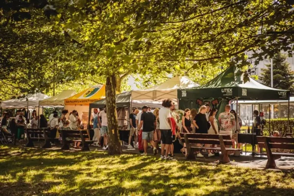 Weekend w Parku Miejskim: Kiermasz Sztuki przyciągnął tłumy
