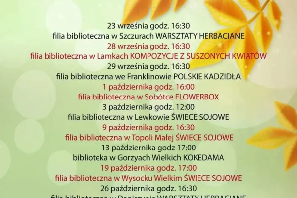 Gorzyce Wielkie: jesienne warsztaty rękodzielnicze dla seniorów w gminnej bibliotece