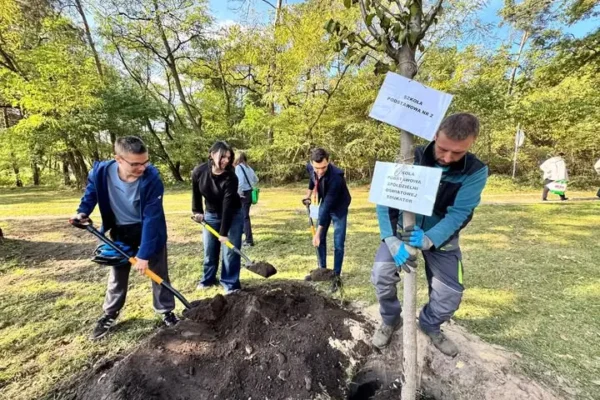 Święto Drzewa w Ostrowie Wielkopolskim przyciągnęło tłumy mieszkańców